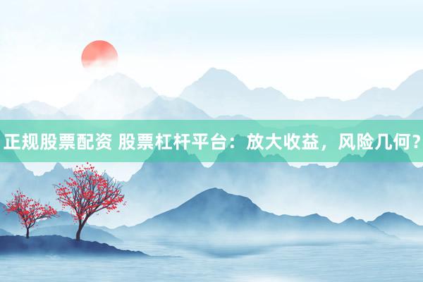 正规股票配资 股票杠杆平台：放大收益，风险几何？
