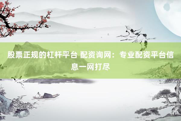 股票正规的杠杆平台 配资询网：专业配资平台信息一网打尽