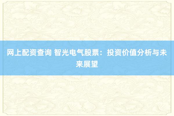 网上配资查询 智光电气股票：投资价值分析与未来展望