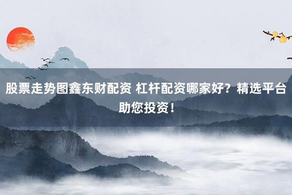 股票走势图鑫东财配资 杠杆配资哪家好？精选平台助您投资！
