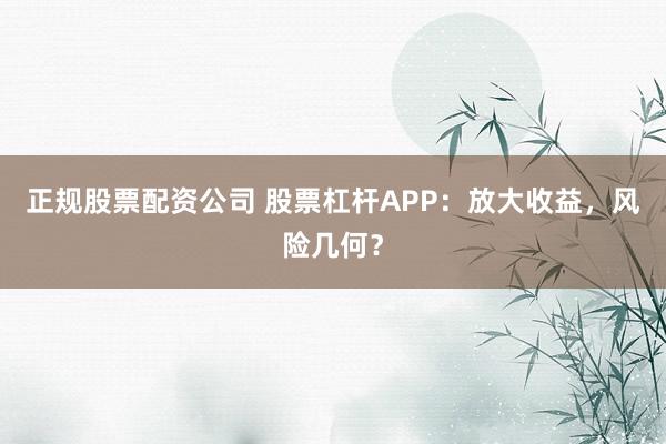 正规股票配资公司 股票杠杆APP：放大收益，风险几何？