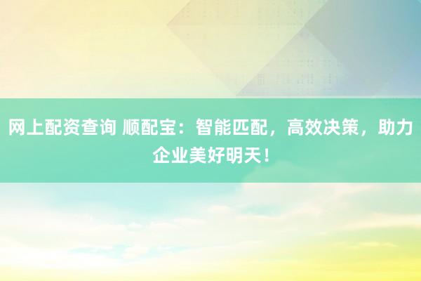 网上配资查询 顺配宝：智能匹配，高效决策，助力企业美好明天！