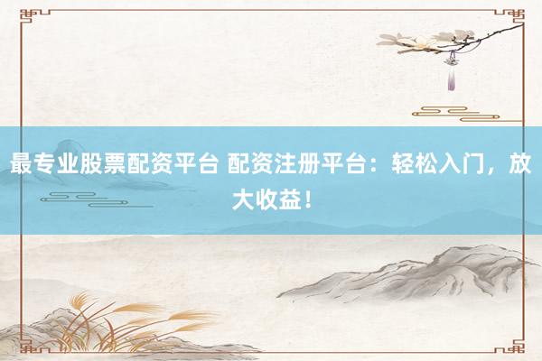 最专业股票配资平台 配资注册平台：轻松入门，放大收益！