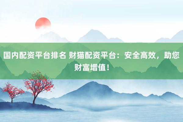 国内配资平台排名 财猫配资平台：安全高效，助您财富增值！
