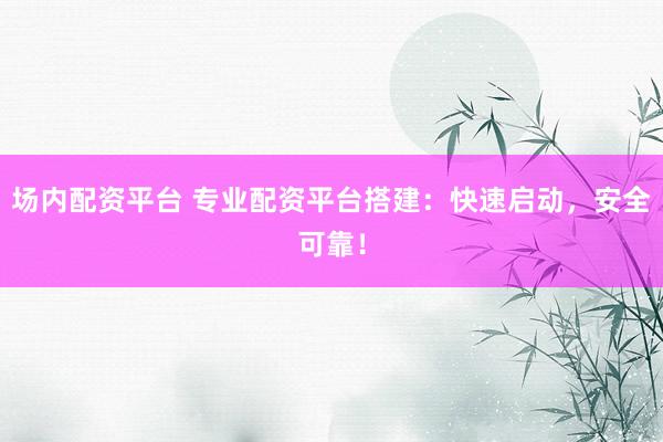 场内配资平台 专业配资平台搭建：快速启动，安全可靠！