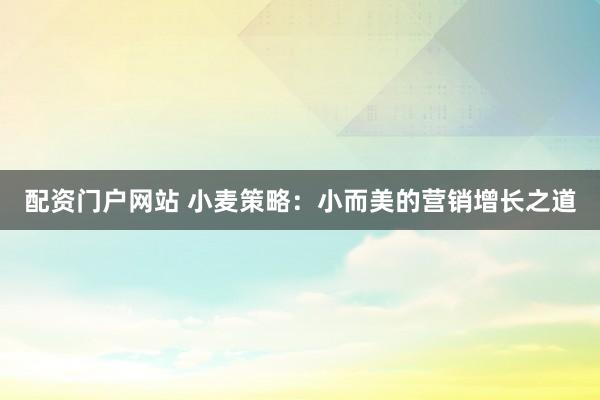 配资门户网站 小麦策略：小而美的营销增长之道