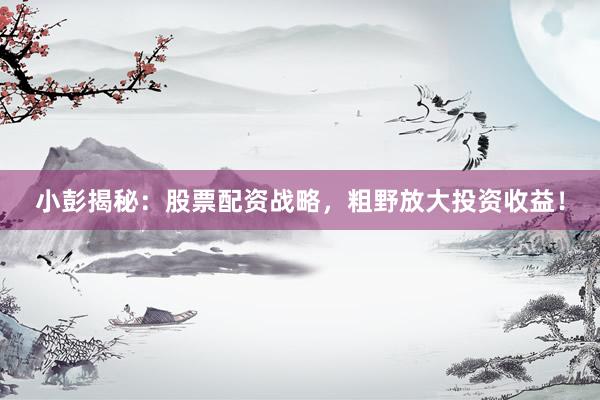 小彭揭秘：股票配资战略，粗野放大投资收益！