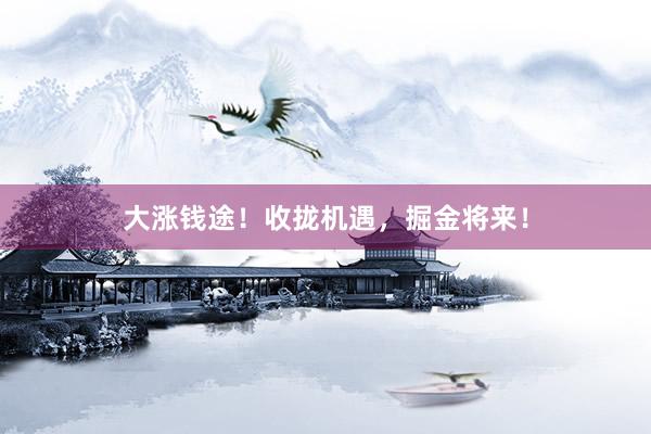 大涨钱途！收拢机遇，掘金将来！