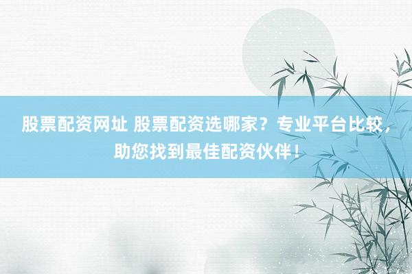 股票配资网址 股票配资选哪家？专业平台比较，助您找到最佳配资伙伴！