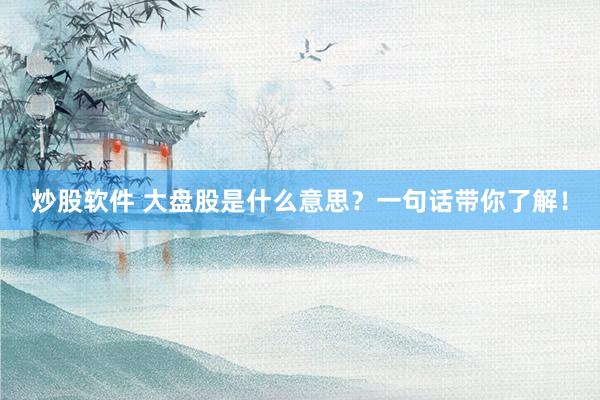 炒股软件 大盘股是什么意思？一句话带你了解！
