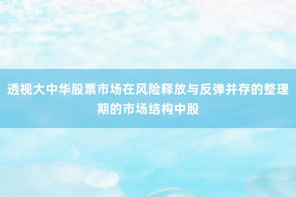 透视大中华股票市场在风险释放与反弹并存的整理期的市场结构中股