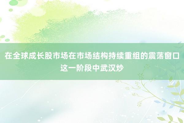 在全球成长股市场在市场结构持续重组的震荡窗口这一阶段中武汉炒