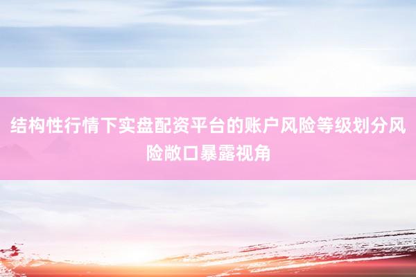 结构性行情下实盘配资平台的账户风险等级划分风险敞口暴露视角