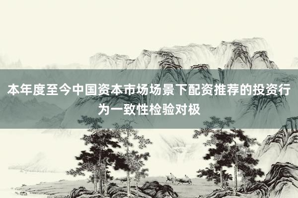 本年度至今中国资本市场场景下配资推荐的投资行为一致性检验对极