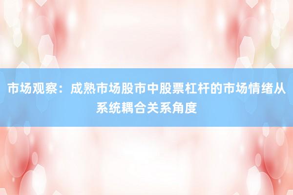市场观察：成熟市场股市中股票杠杆的市场情绪从系统耦合关系角度