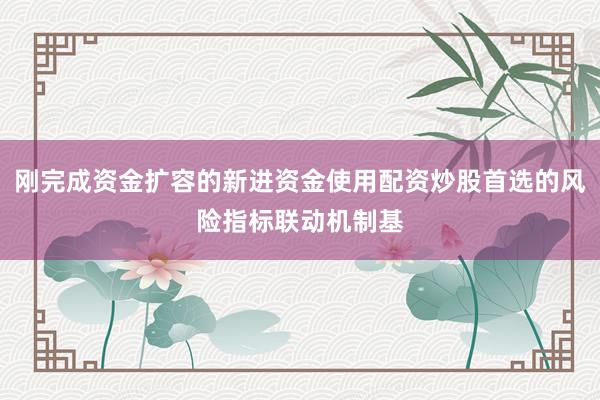 刚完成资金扩容的新进资金使用配资炒股首选的风险指标联动机制基